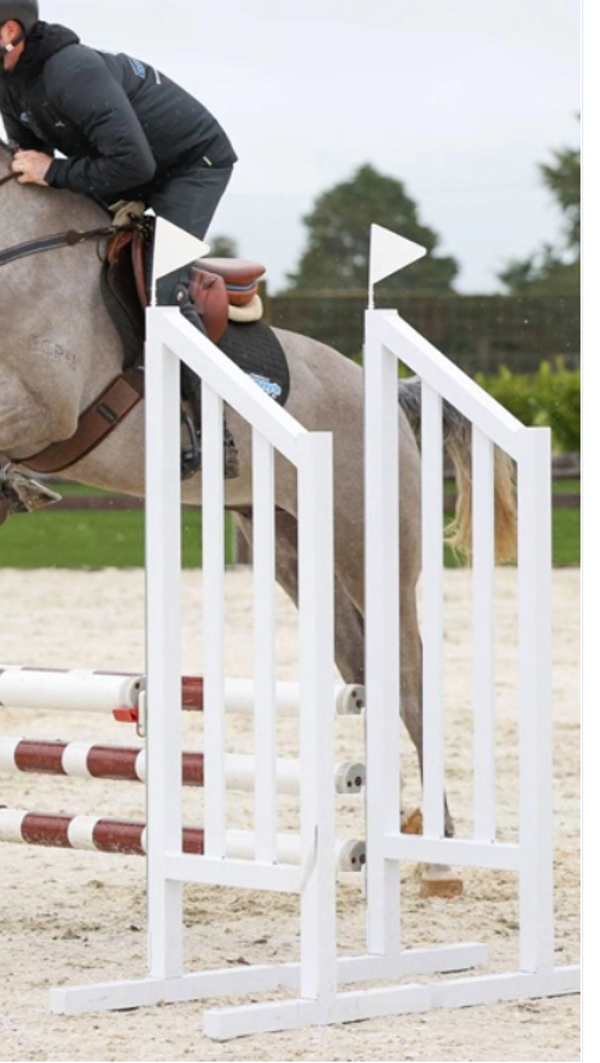 AJ05 aluminum training wings