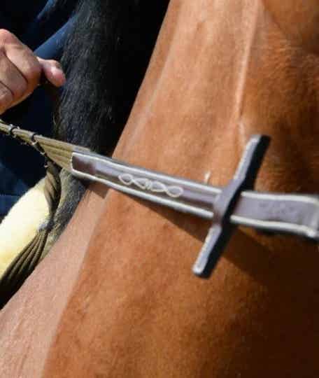 Ikonic Web reins with stops hook stud