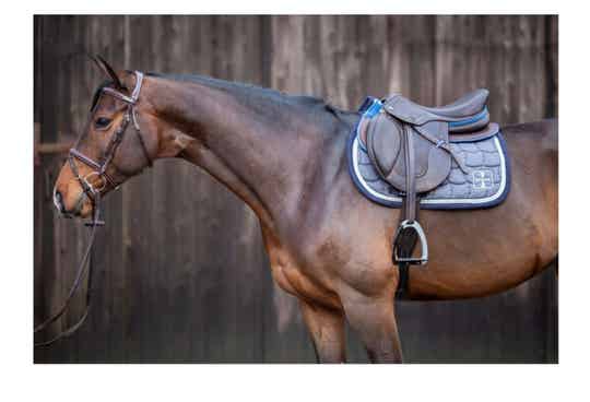 Ikonic soft leather backpad