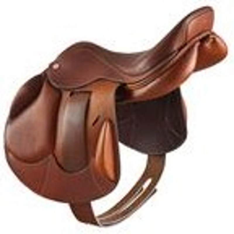 saddle5.png