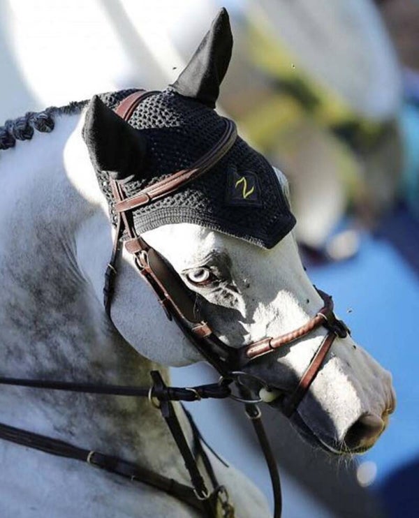 Ikonic anatomic  flash bridle with leather rope noseband