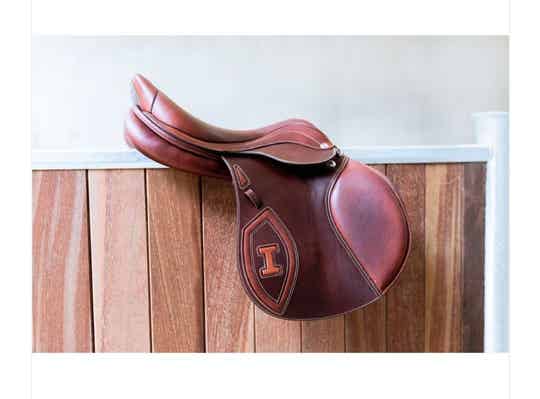 Ikonic Authentic elite jumping saddle
