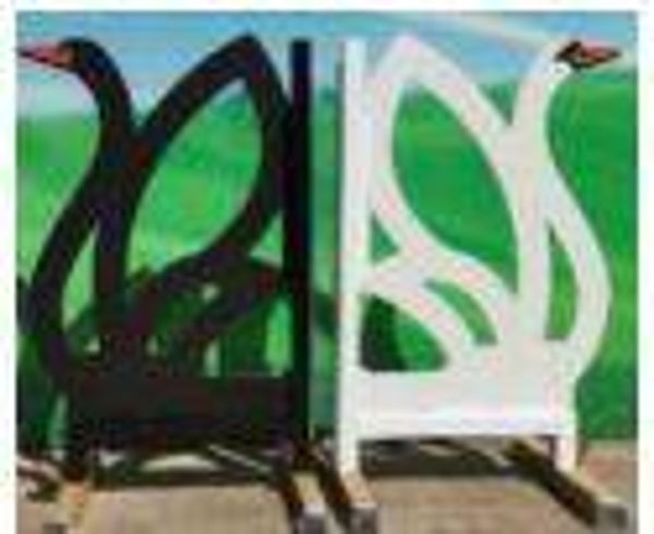 AJ168 black and white swans