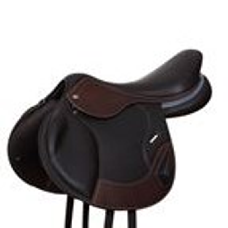 saddle4.png