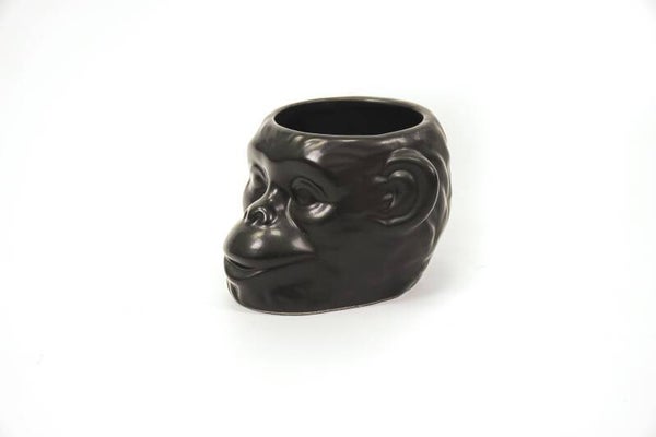 Housevitamin apenkop plantenpot zwart