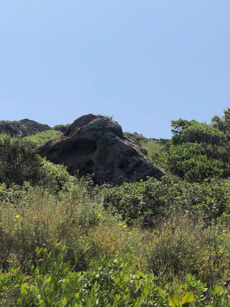 Sono una Guida Ambientale Escursionistica e organizzo esperienze nella natura in Sardegna, tra trekking, cammini, paesaggi costieri, montagne, siti archeologici e racconti di storia locale. Propongo attività per chi desidera scoprire il territorio con cal