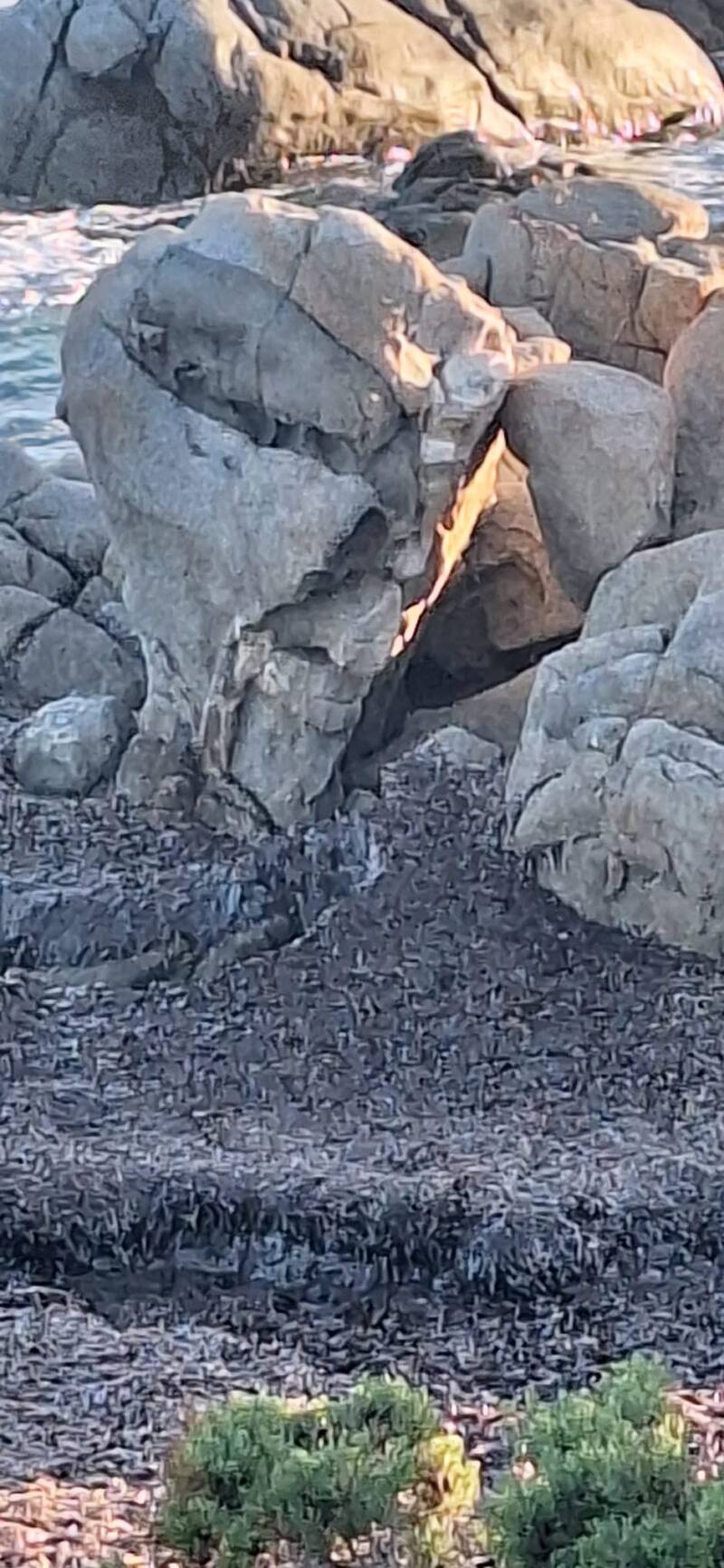 Sono una Guida Ambientale Escursionistica e organizzo esperienze nella natura in Sardegna, tra trekking, cammini, paesaggi costieri, montagne, siti archeologici e racconti di storia locale. Propongo attività per chi desidera scoprire il territorio con cal