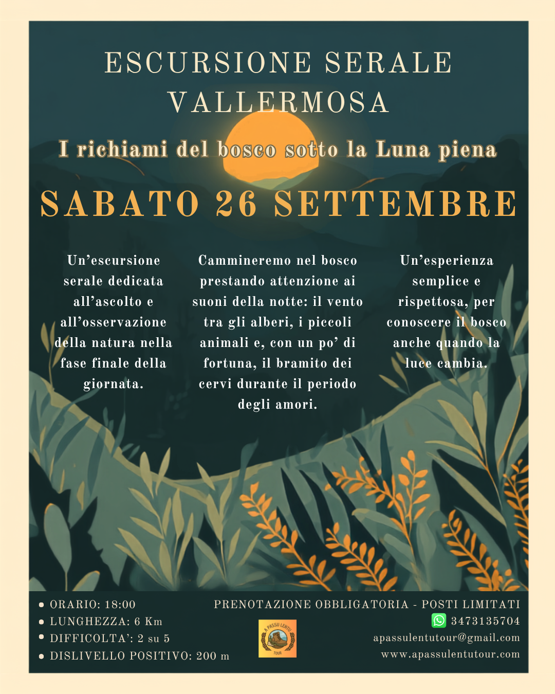 Escursione Monte Olladiri - Vista sulla cava