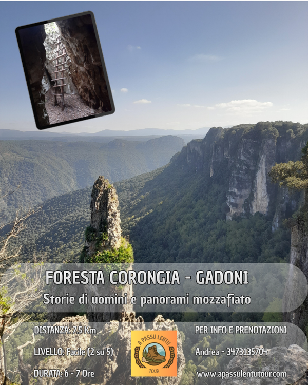 FORESTA CORONGIA - GADONI