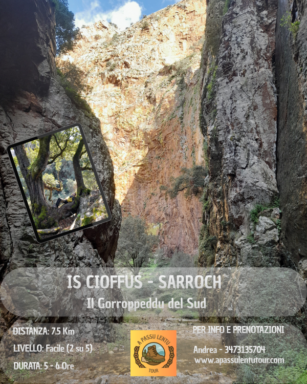 CANYON DEL SUD - SARROCH