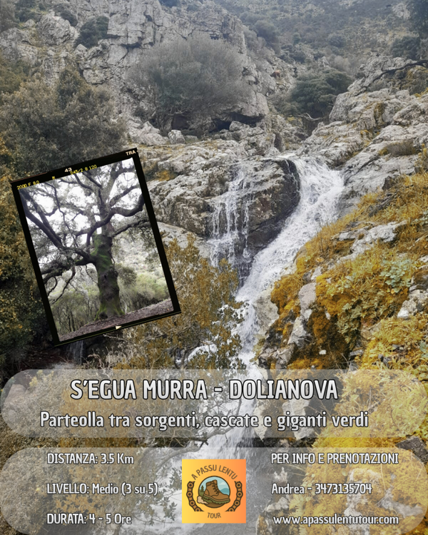 S'EGUA MURRA - DOLIANOVA
