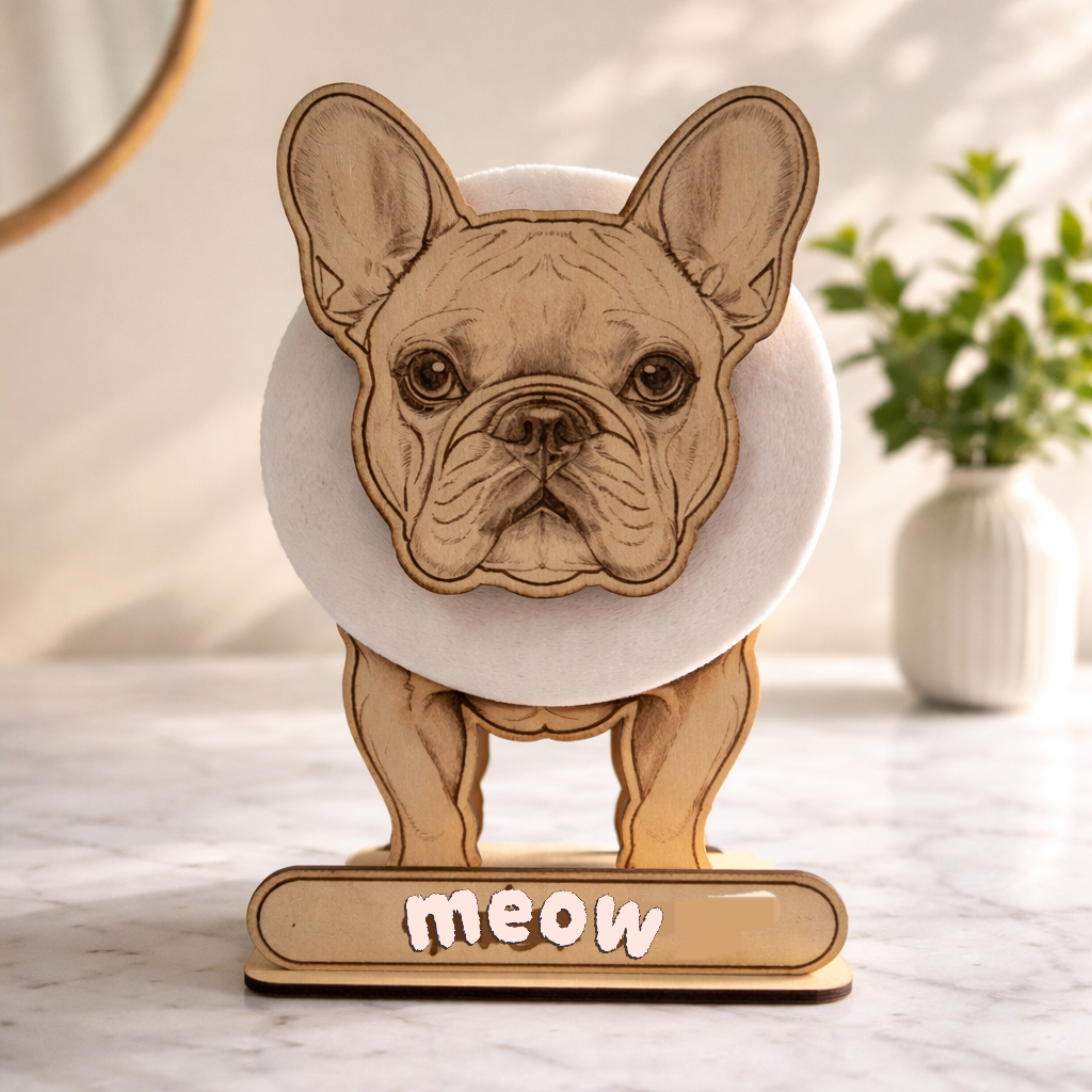 Frenchie mal ganz anders