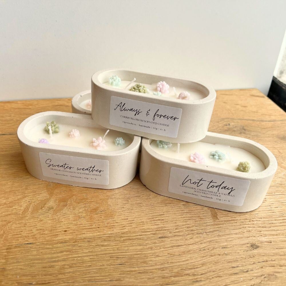 Mini dubbel kaars met vetplanten