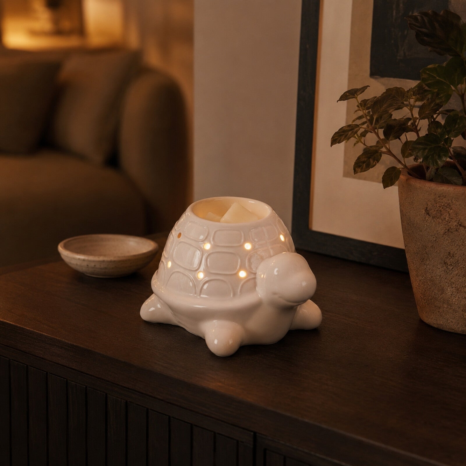 Geurbrander schildpad