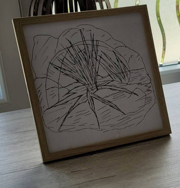 Ingelijste tekening Wirwar