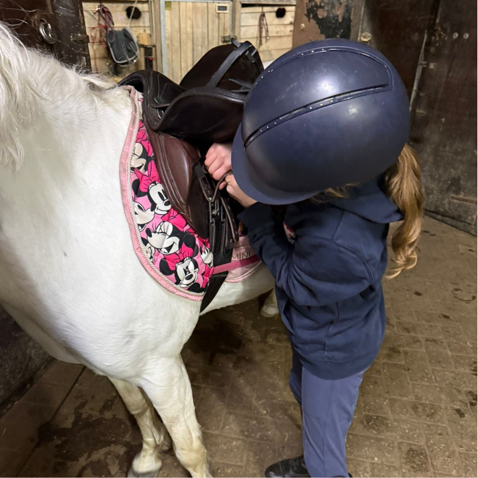 Horsemanship Intro [voor startende ruiters van alle leeftijden]