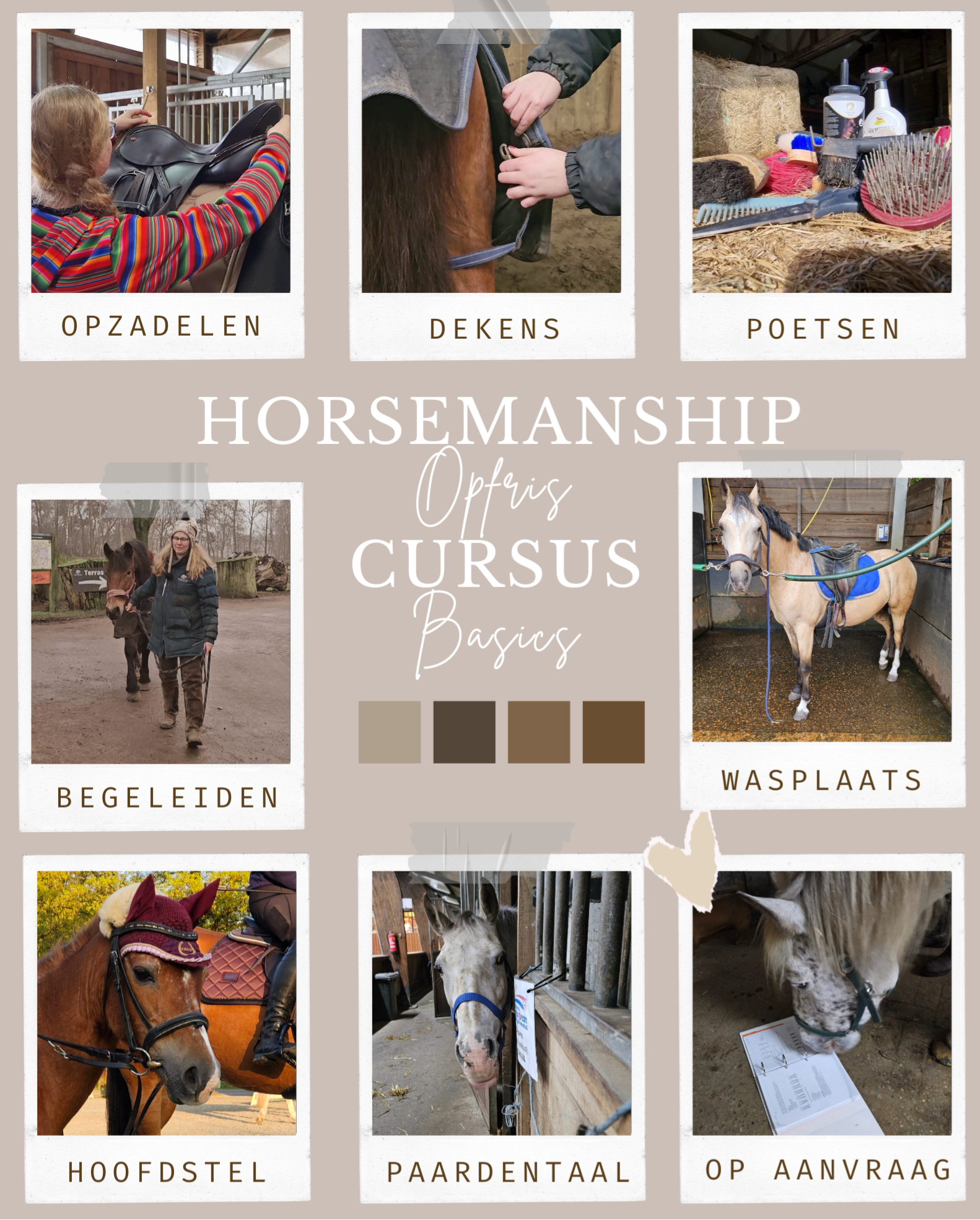 Horsemanship Basics (opfris)cursus