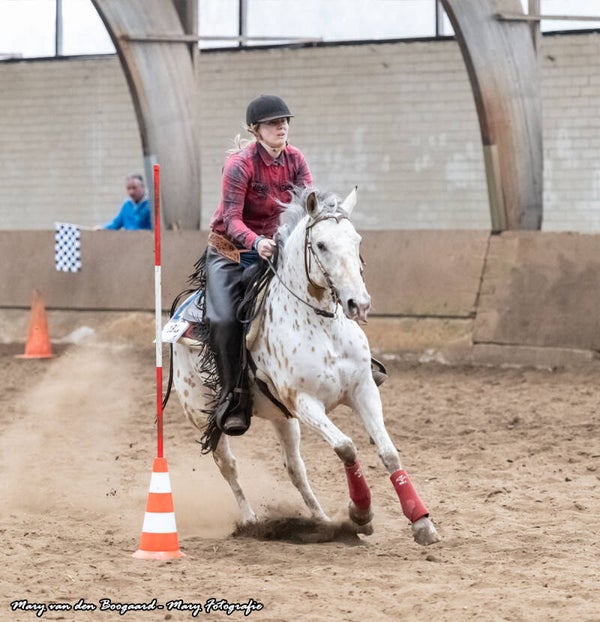 Westernles [Barrels, Poles and Trail]