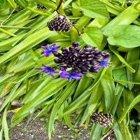 img_8132-standard.jpg