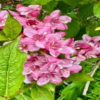 img_8134-standard.jpg