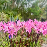 img_8144-standard.jpg
