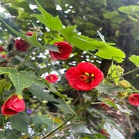 img_8146-standard.jpg