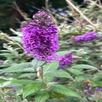 img_8147-standard.jpg