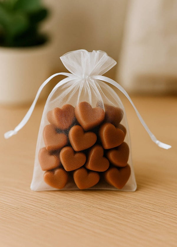Giftzakje Appel - Kaneel 15 mini hartjes waxmelts