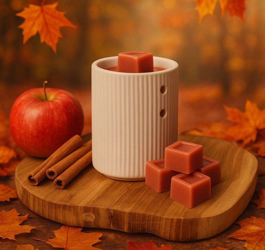 Waxmelts Appel & Kaneel 10 grote blokjes