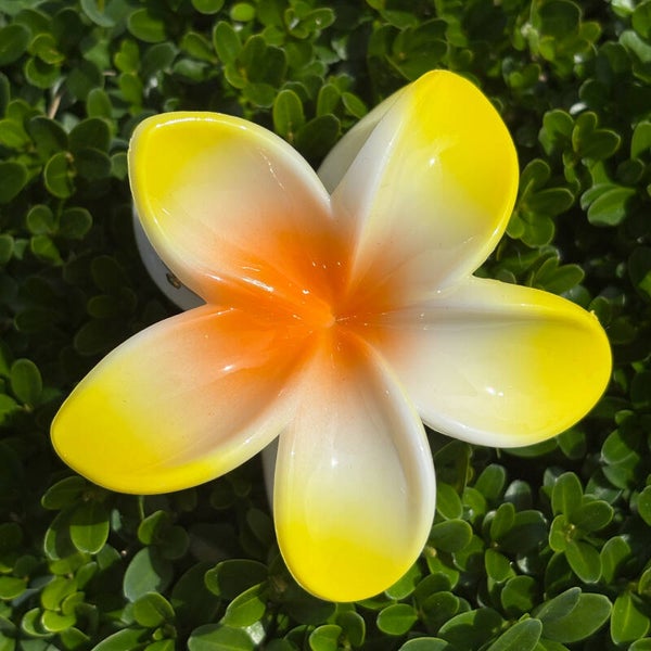 Speld tropische bloem, geel