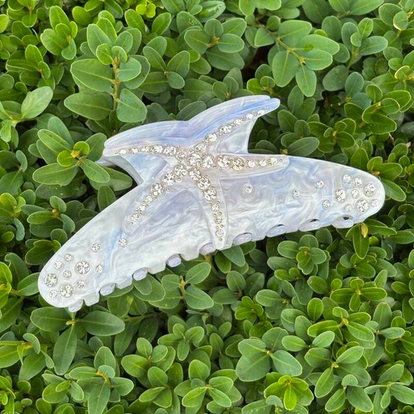 Speld zeester, blauw