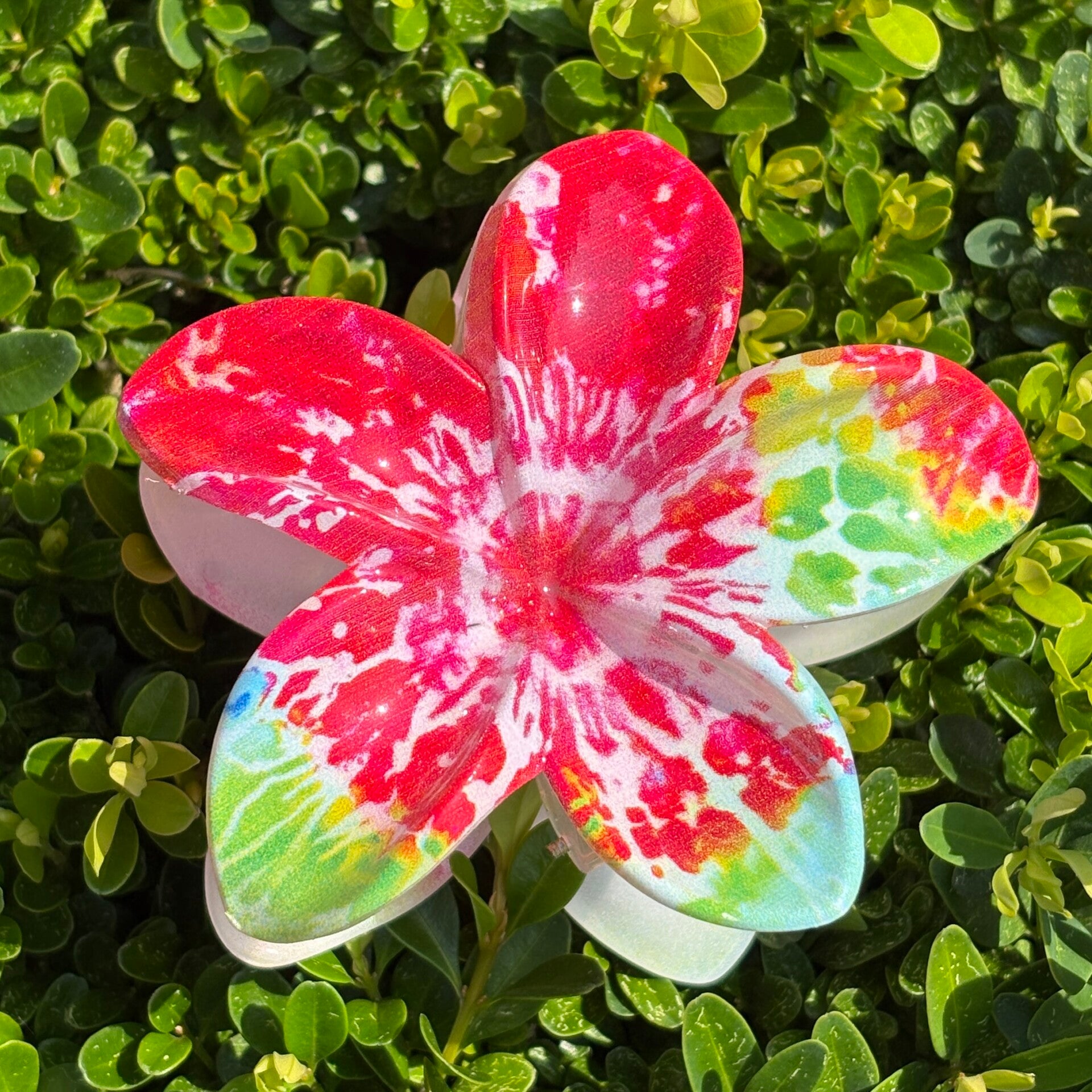 Speld exotische bloem, fuchsia