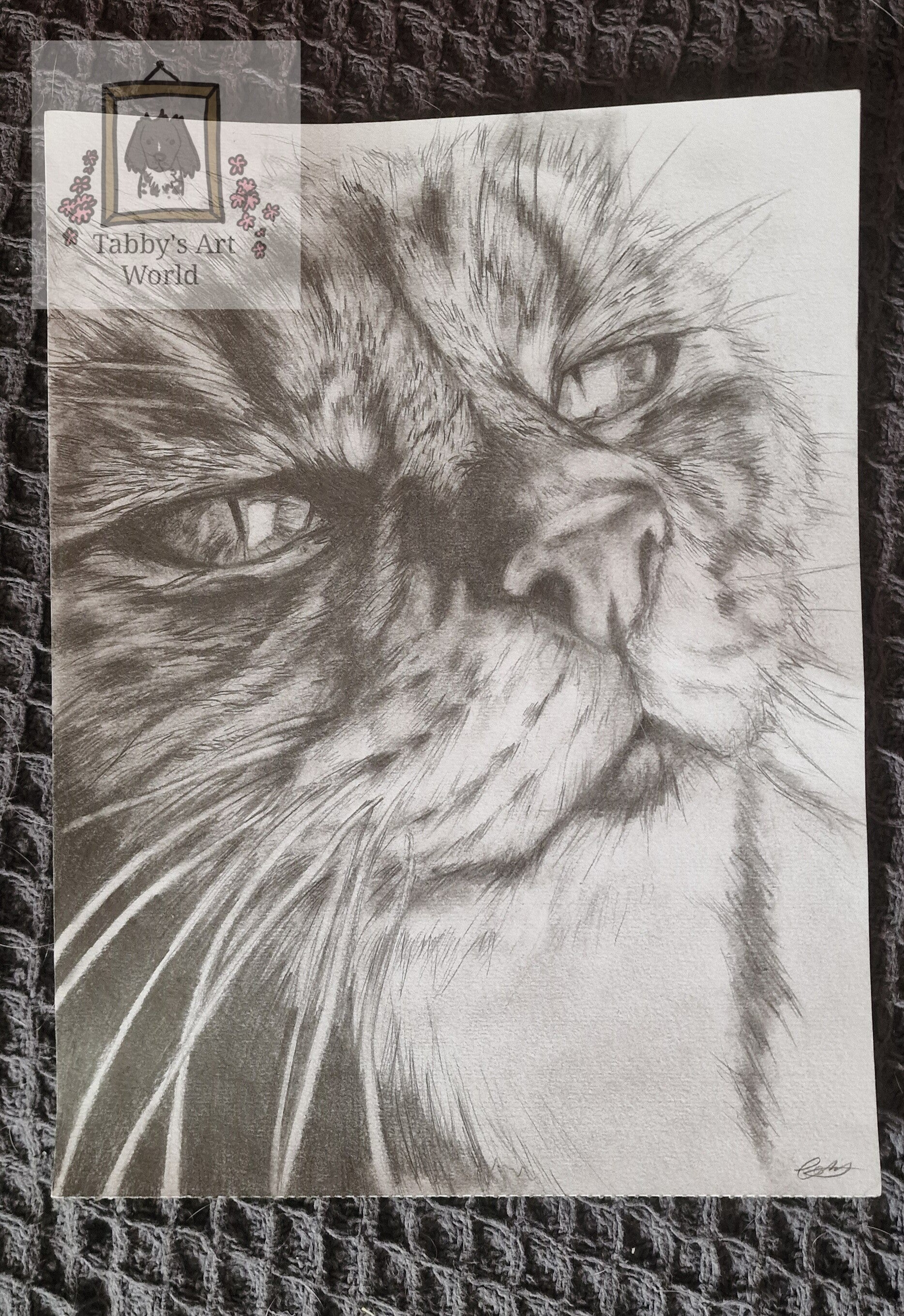 Traditional Portrait