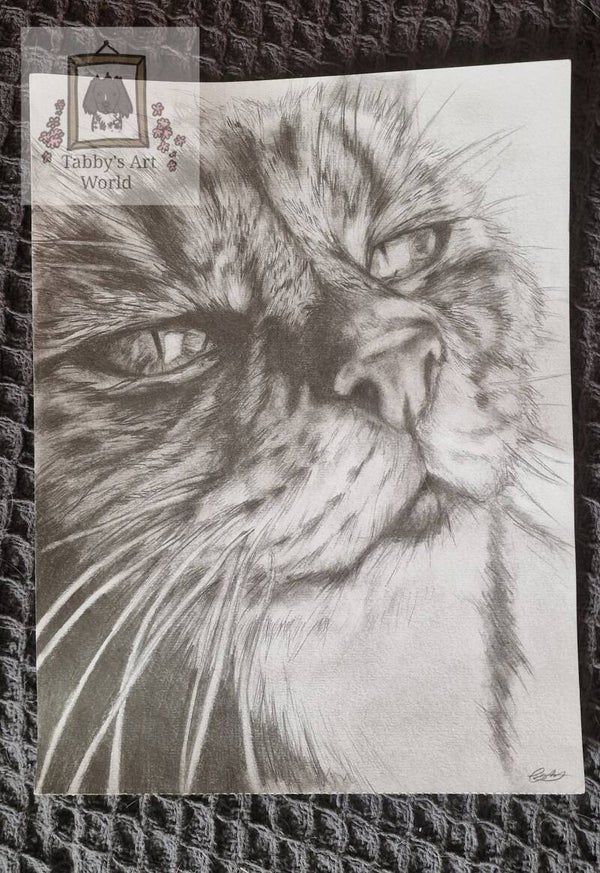 Traditional Portrait