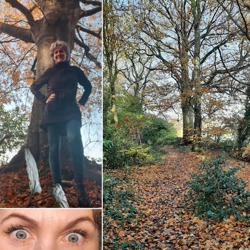 Nienke boswandeling wandeloutfit bomen natuur missnienox