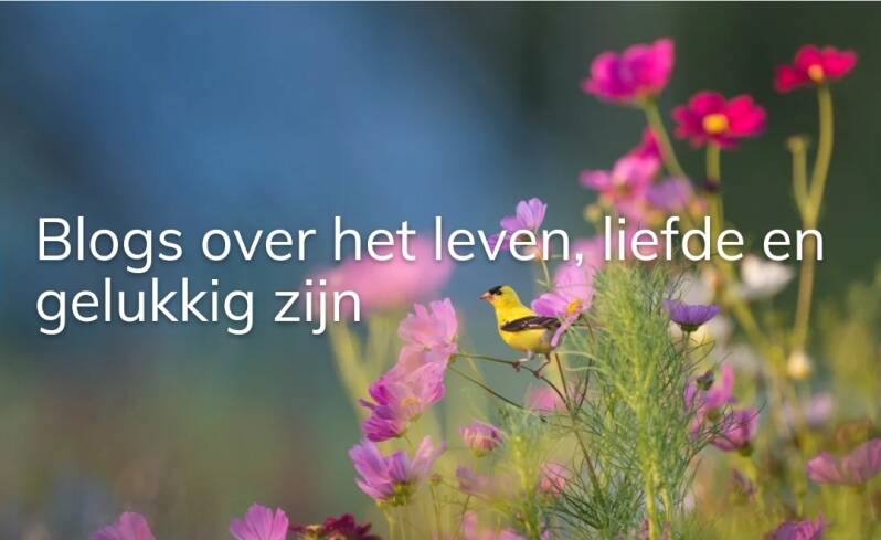 foto banner missnienox bloemen vogel