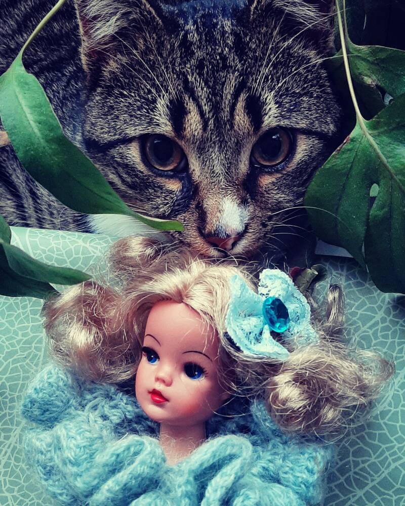 Buckie en Sindy blog missnienox