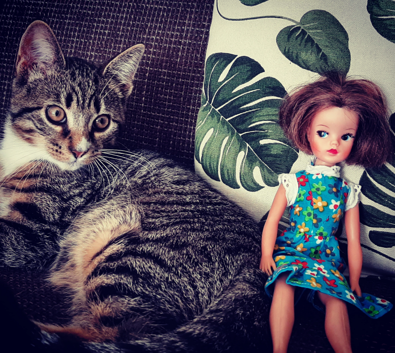 Buckie en Sindy kussen bank missnienox blog