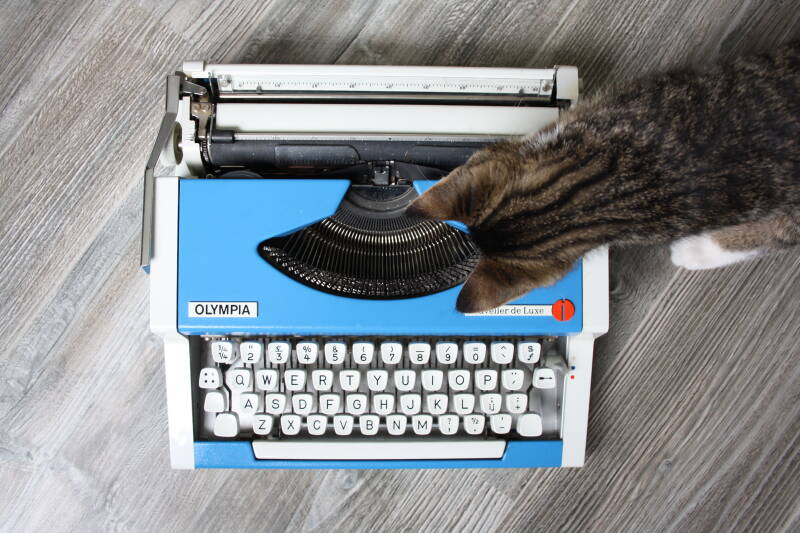 typemachine Olympia vintage traveller de luxe missnienox