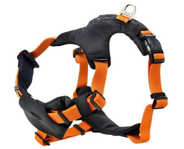 Sportsele Emmi Orange