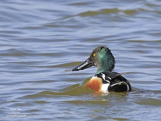 Beeld tijdens chakrahealing