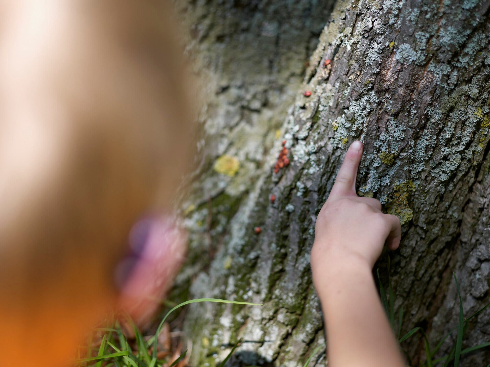 Natur entdecken