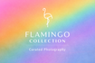 Flamingo Collection – kuratierte, zeitlose Fotografie für Redaktion und Gestaltung.