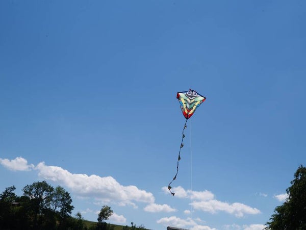 Drachensteigen an einem Sommertag