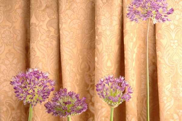 elegante Blume