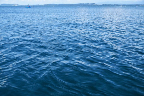 Wasser