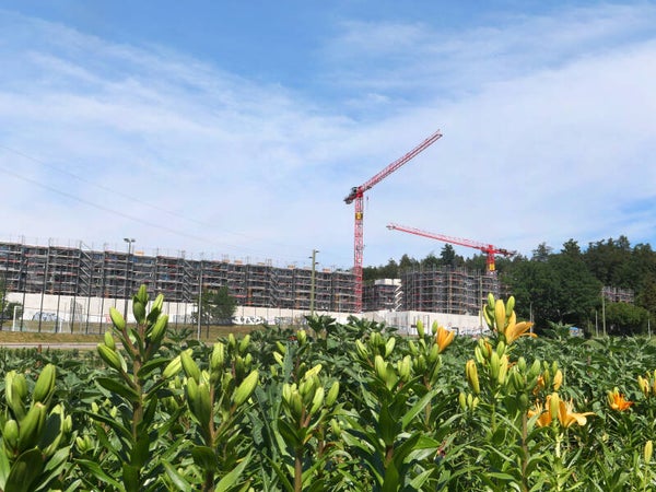 Baustelle in der Schweiz mit Lilienfeld