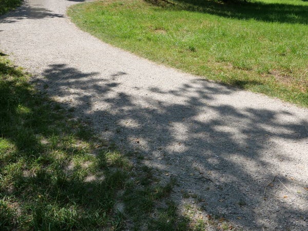 Naturweg mit Schattenspiel