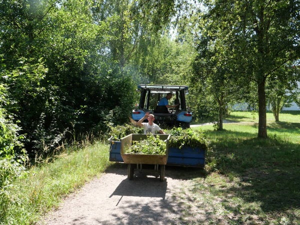Pflegearbeiten in einer Grünanlage