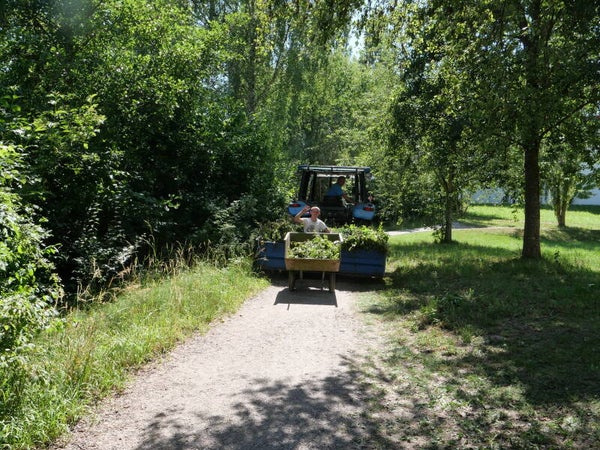 Unterhalt